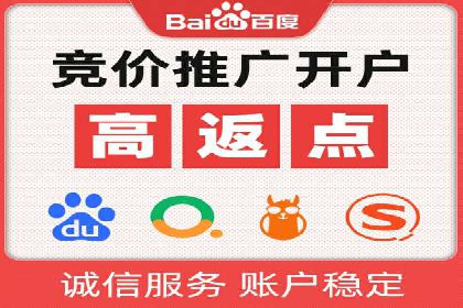 案例解读：SEM代理助力电商销量翻倍